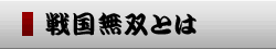 戦国無双とは